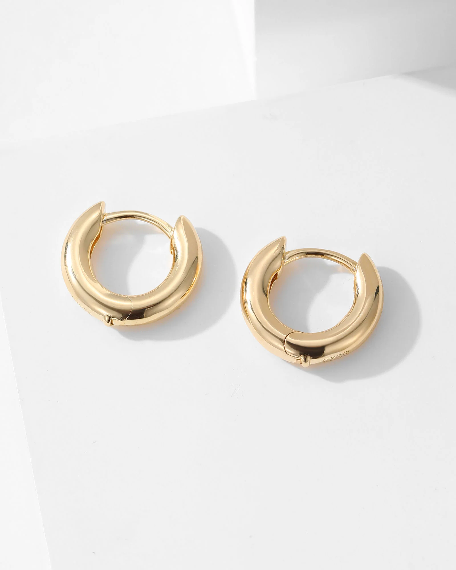 ÉVIDENCE Earring - 8140400 - Image 5